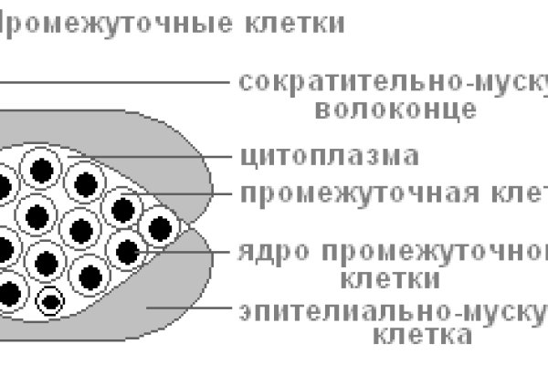 Что такое кракен магазин