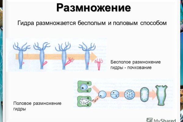 Кракен сайт что это