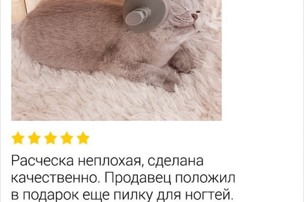 Список сайтов даркнета
