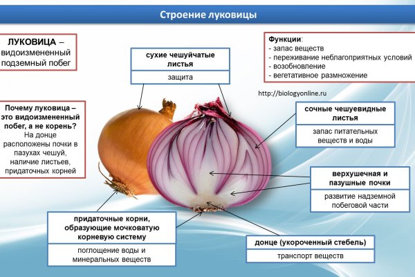 Актуальная ссылка на кракен в тор 2krnmarket